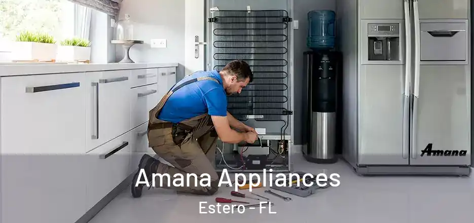 Amana Appliances Estero - FL