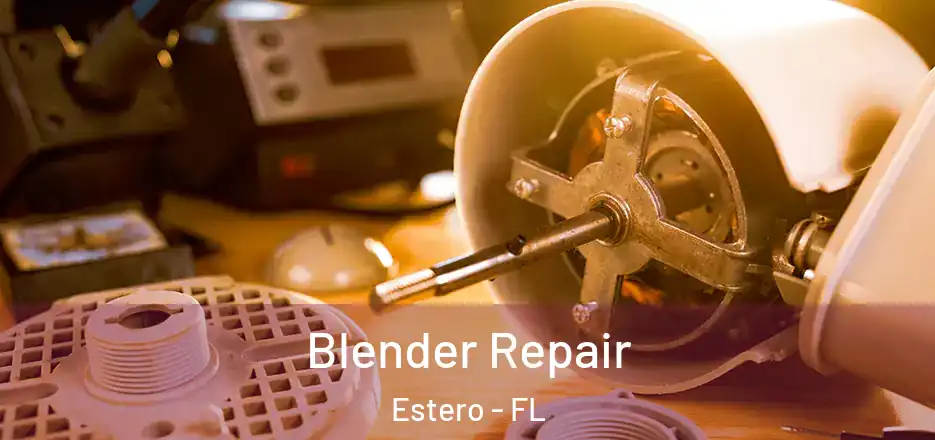 Blender Repair Estero - FL