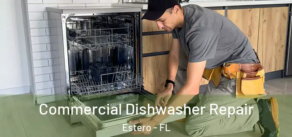 Commercial Dishwasher Repair Estero - FL