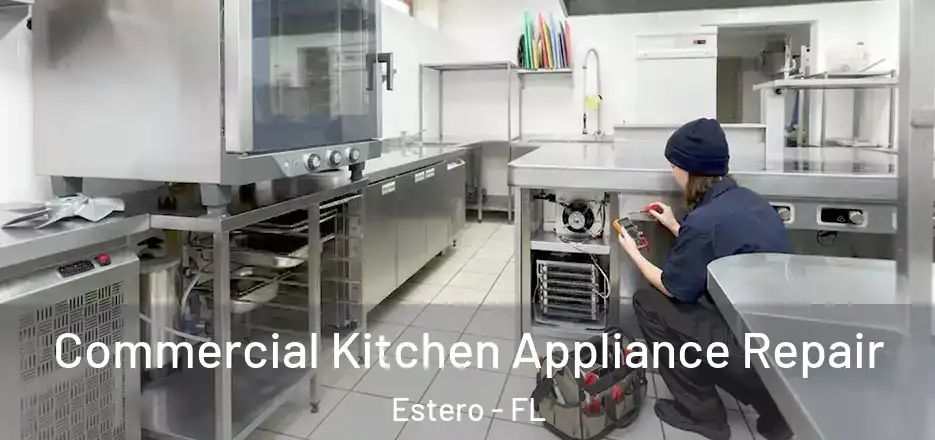 Commercial Kitchen Appliance Repair Estero - FL