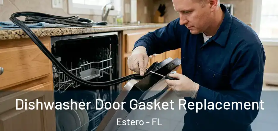 Dishwasher Door Gasket Replacement Estero - FL