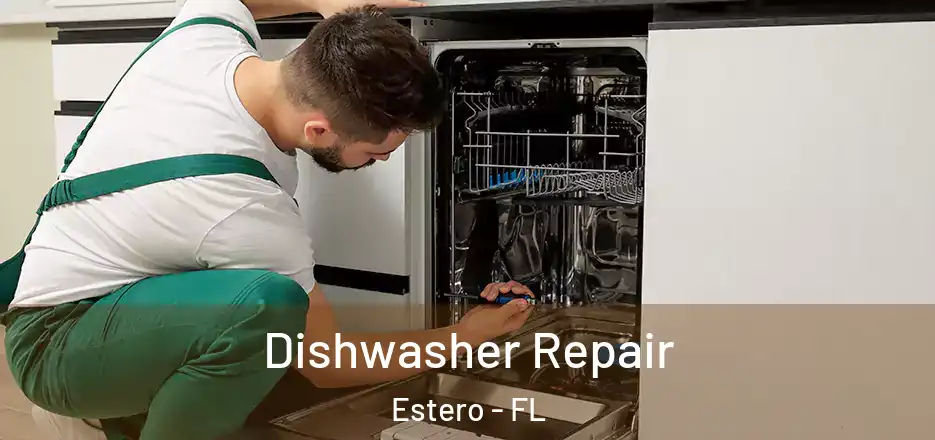 Dishwasher Repair Estero - FL
