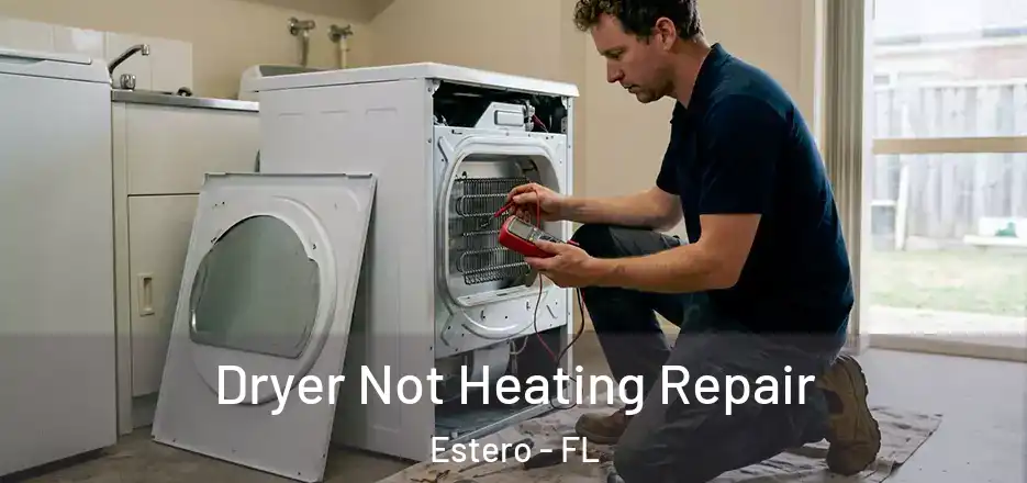 Dryer Not Heating Repair Estero - FL