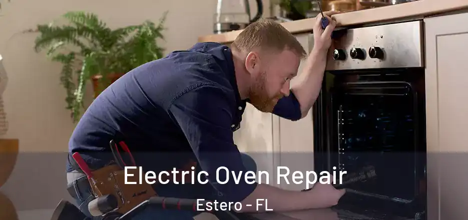 Electric Oven Repair Estero - FL