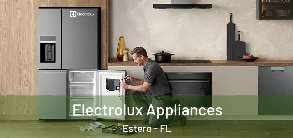  Electrolux Appliances Estero - FL