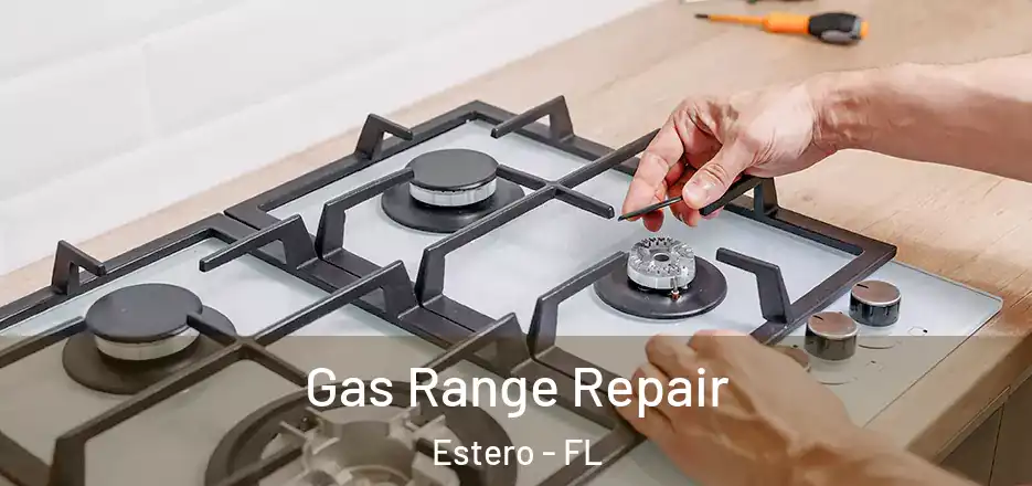 Gas Range Repair Estero - FL
