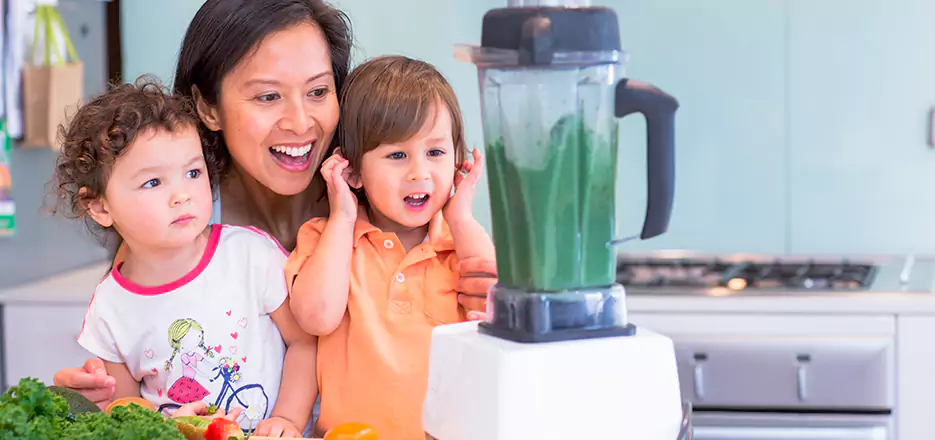 Juicer and Mixer Blender Repair in Estero
