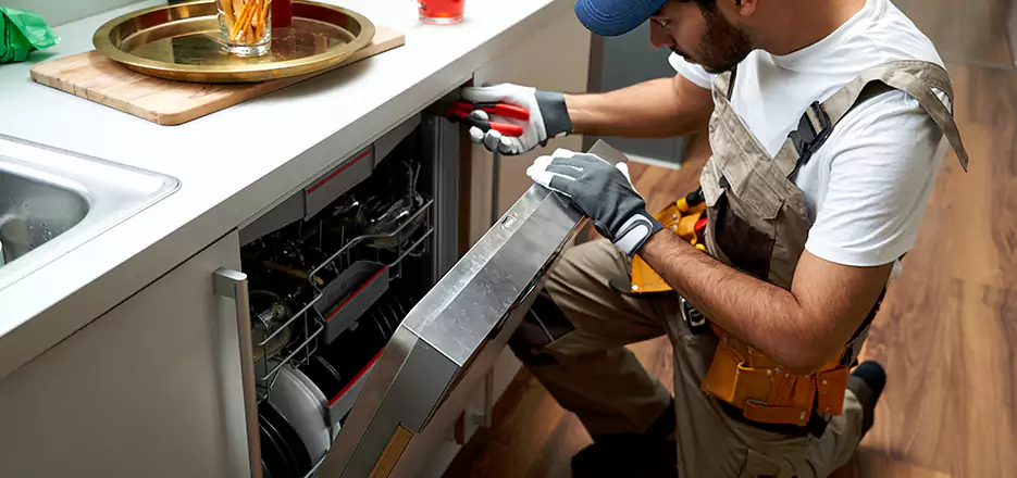 Same Day Dishwasher Not Draining Repair in Estero