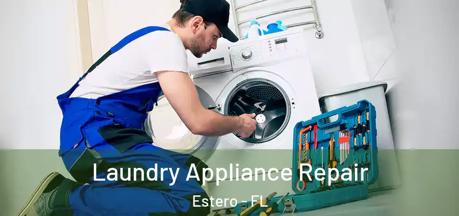 Laundry Appliance Repair Estero - FL