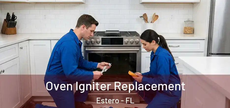 Oven Igniter Replacement Estero - FL