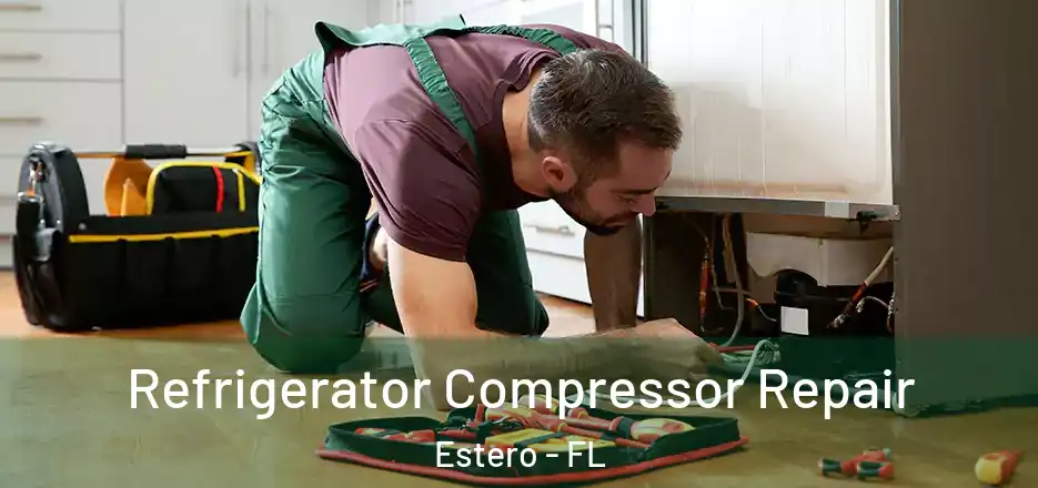 Refrigerator Compressor Repair Estero - FL