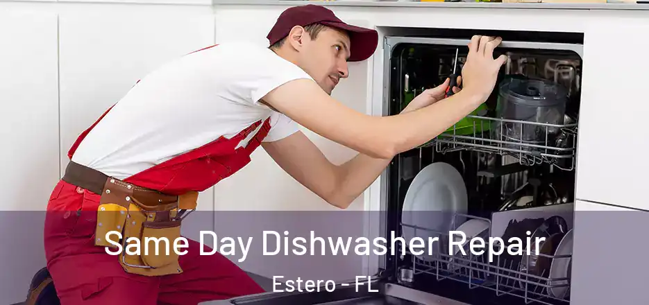 Same Day Dishwasher Repair Estero - FL