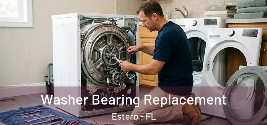 Washer Bearing Replacement Estero - FL