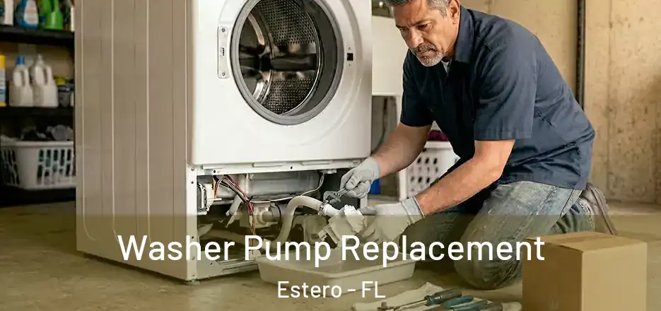 Washer Pump Replacement Estero - FL