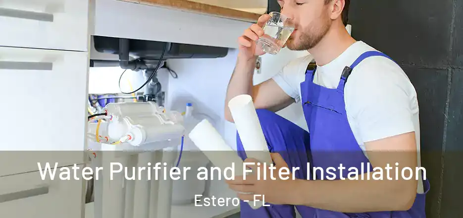 Water Purifier and Filter Installation Estero - FL